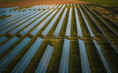 Why We Love Big Projects at Real Title Services